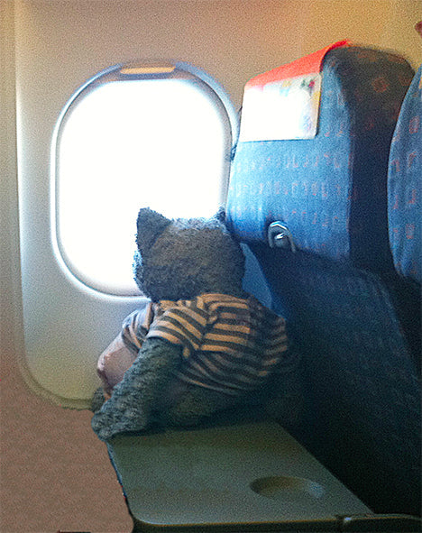 Les aventures de Boubou en avion