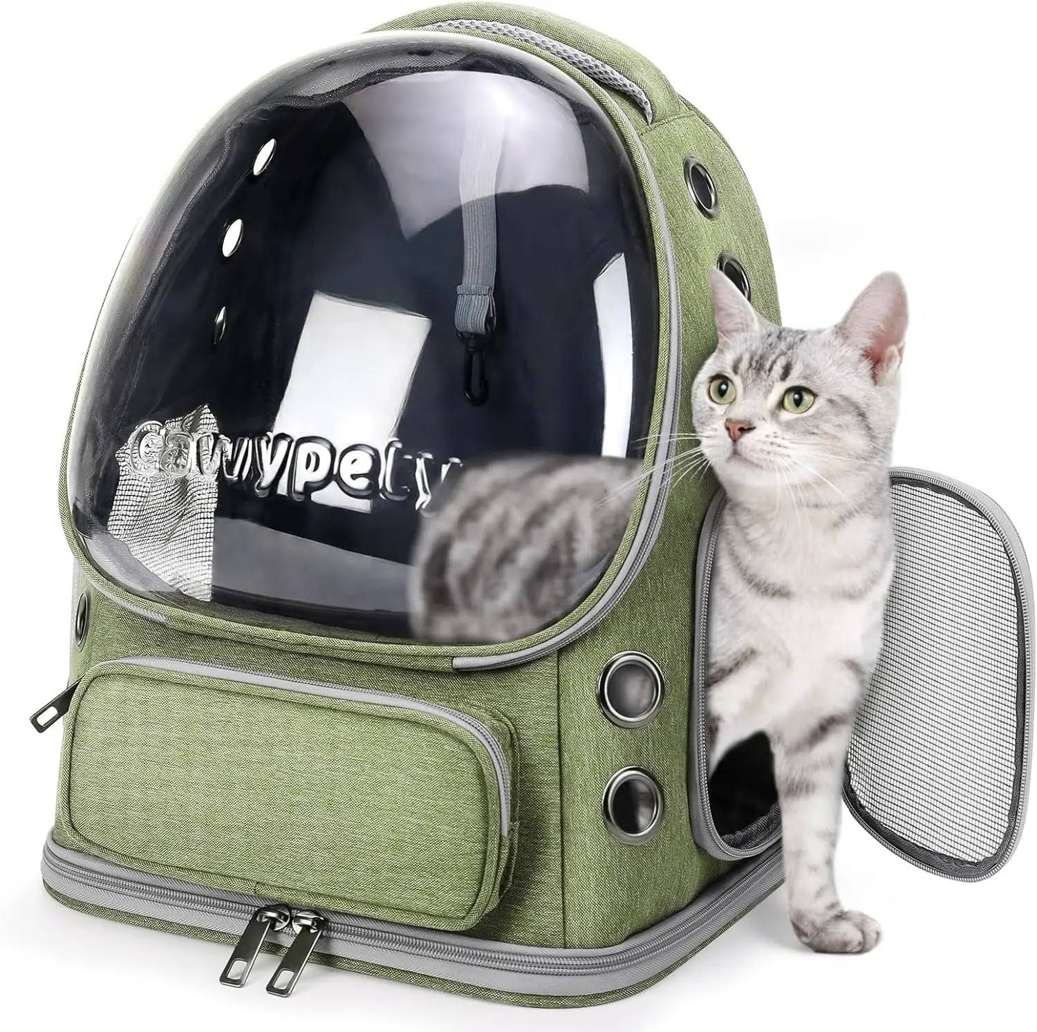 Sacs de transport pour chat voyageur