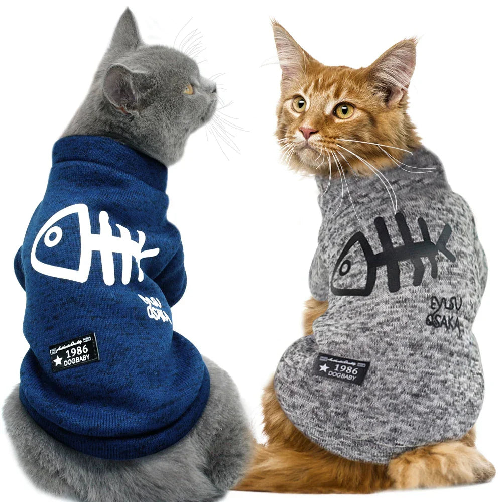 Vêtements et accessoires pour chat nomade