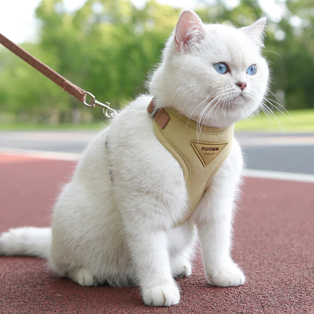 Laisses, harnais et ceintures pour chat voyageur