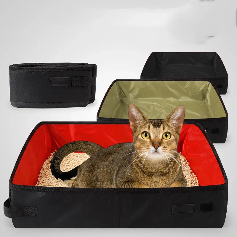 Litières et hygiène du chat voyageur