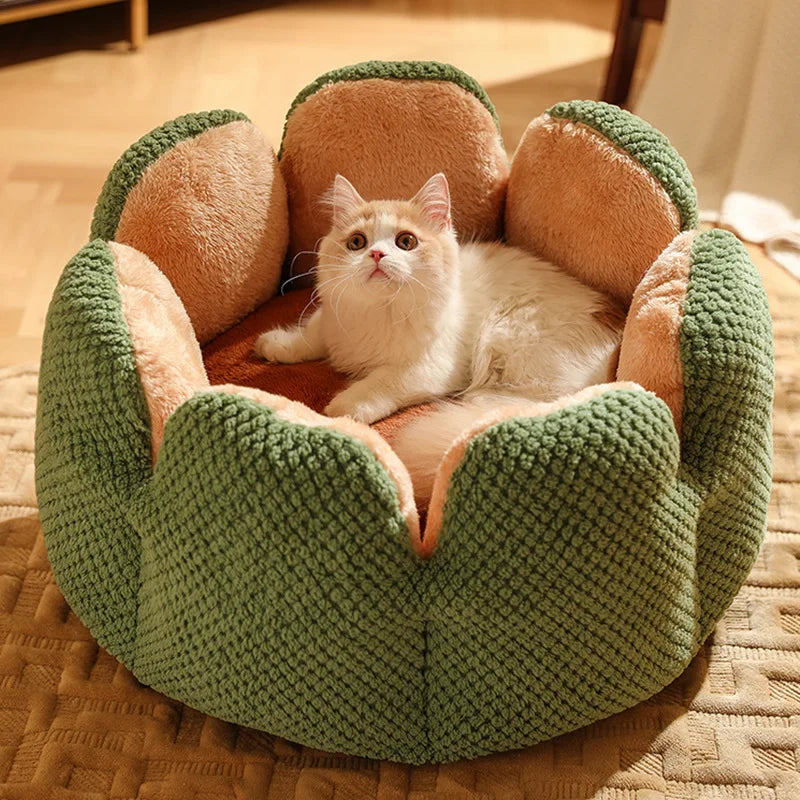 Paniers confort pour chat voyageur