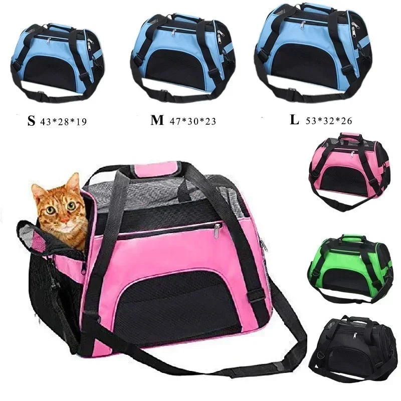 Accessoires de Transport et Balade pour chat nomade