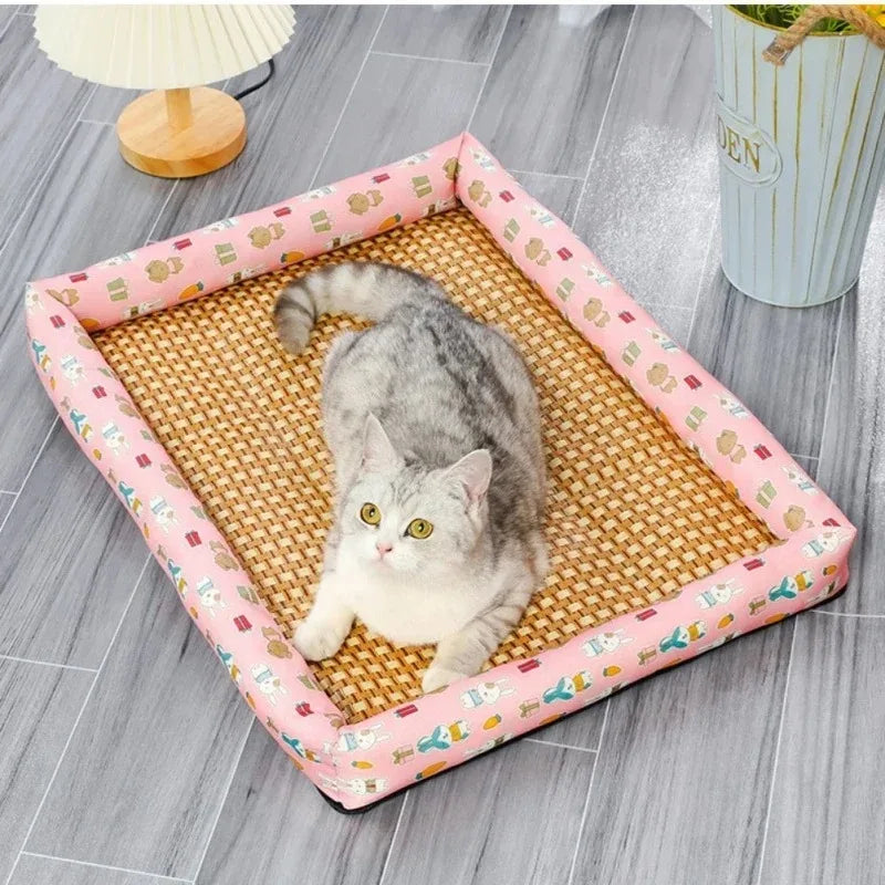 Couvertures et tapis moelleux pour chat voyageur