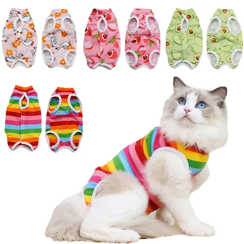 Vêtements pour chat voyageur