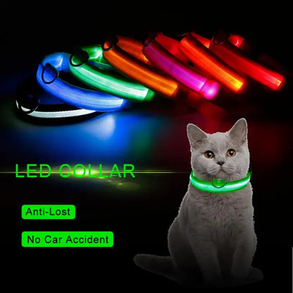 Collier lumineux LED réglable