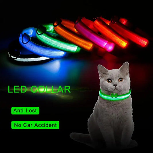 Collier lumineux LED réglable