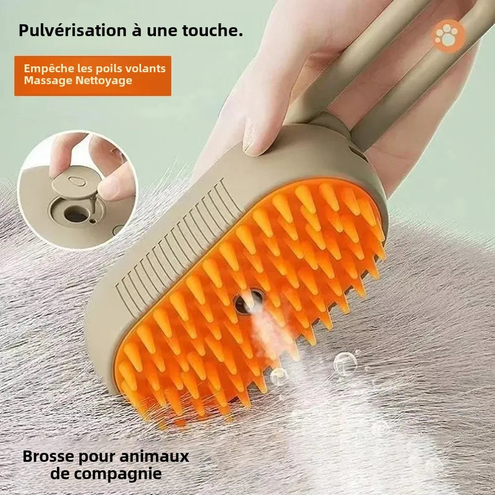 Brosse lavante rechargeable