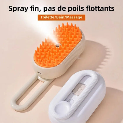 Brosse lavante rechargeable