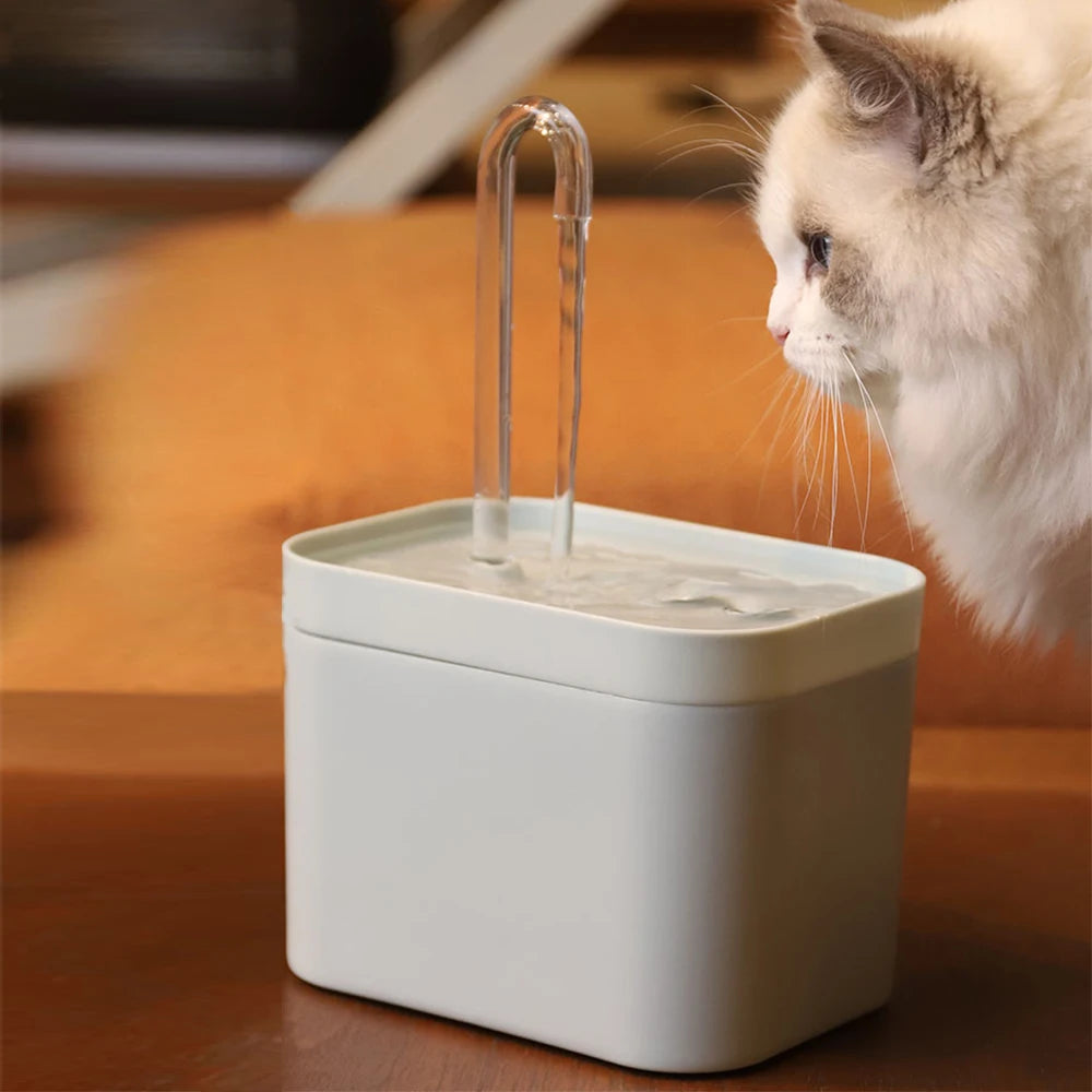 Fontaine à eau filtrante silencieuse pour chat