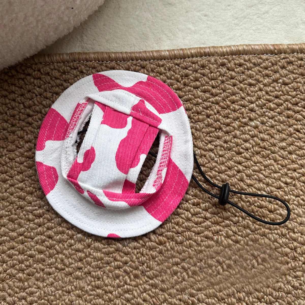 Chapeau rond tendance pour chat